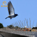 Stainless Steel Anti Bird Control with Plastic Pedestal Bird Spike